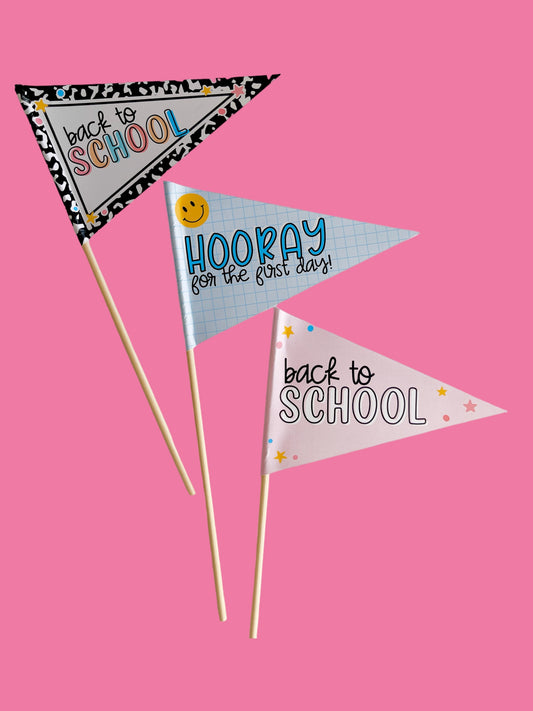 SCHOOL PENNANT FLAGS